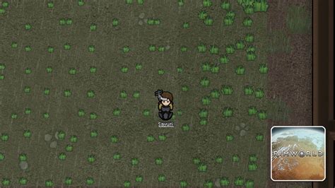 rimworld fuse